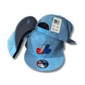 Montreal Expos Light Blue with Classic Logo ¨C Snapback Cap